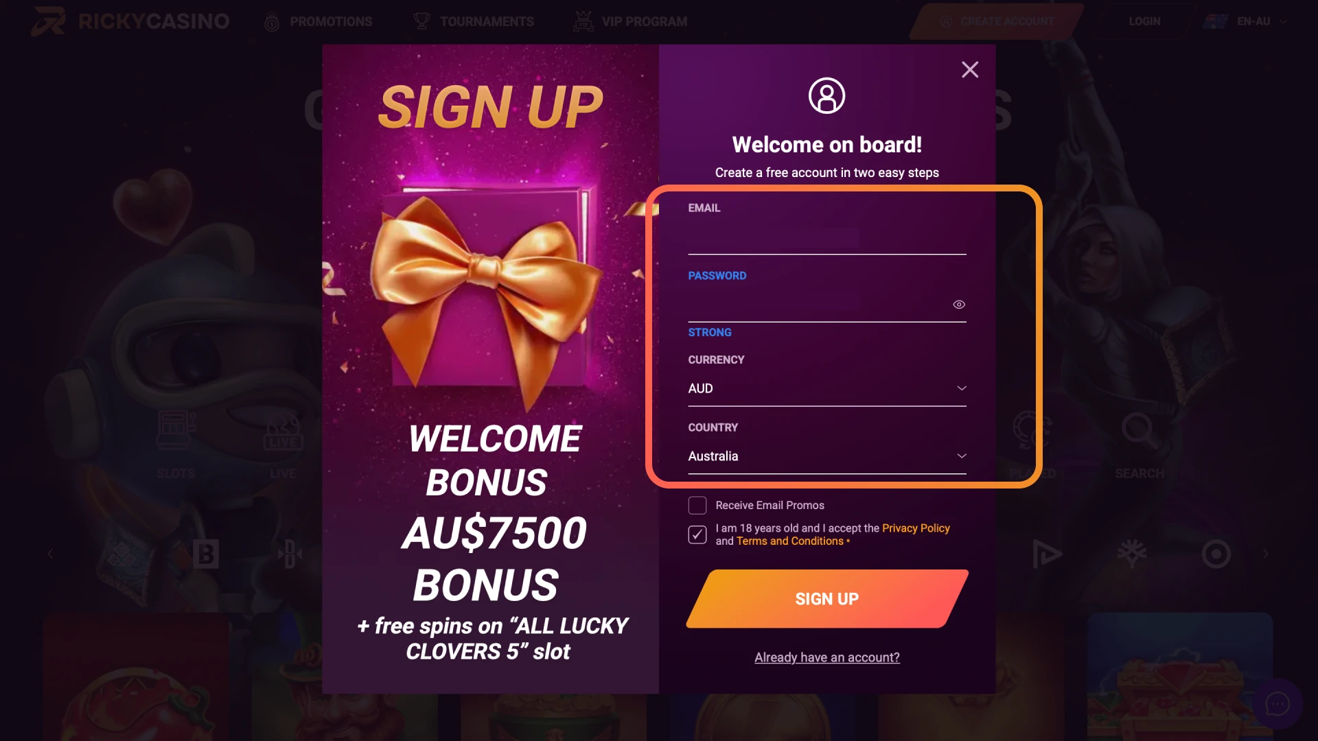 Enter your email, create a password, and accept the rules on Ricky Casino.